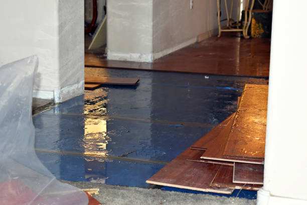 Professional Water Damage Restoration technician working in Silex, MO